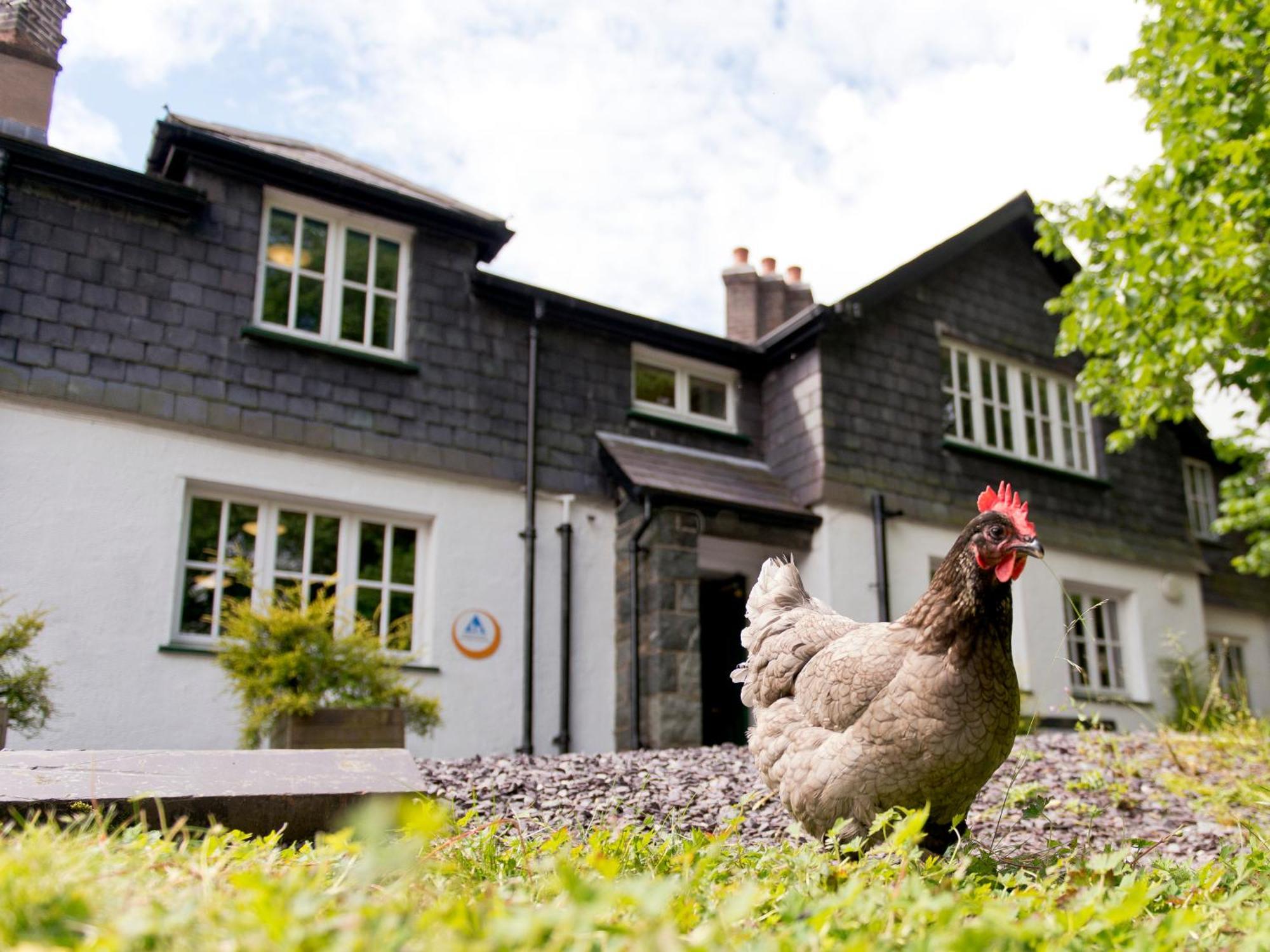 Yha Idwal Cottage Bethesda Eksteriør billede